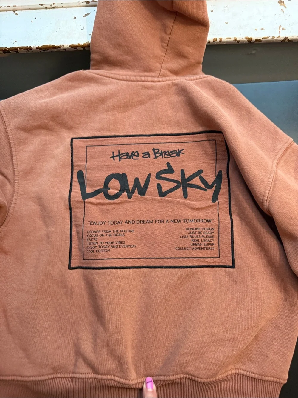 Zara Rust Brown New York Graphic Hoodie